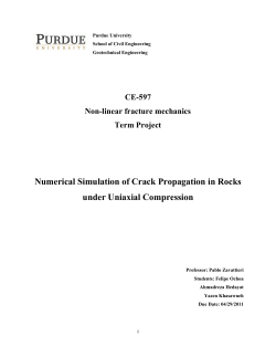 Numerical Simulation of Crack Propagation in Rocks under Uniaxial