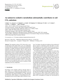 An unknown oxidative metabolism substantially