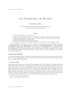 An Overview of Blood
