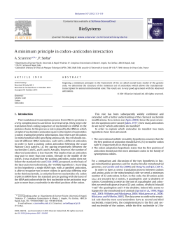 A minimum principle in codon&ndash;anticodon
