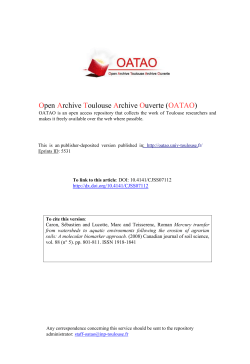 PDF (Publisher`s version)