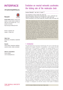 Evolution on neutral networks accelerates the ticking rate of the