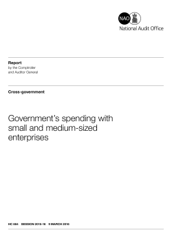 Government`s spending with small and medium