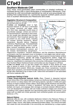 CTs43 Southern Maderate Cliff factsheet - Minnesota DNR - MN-dnr