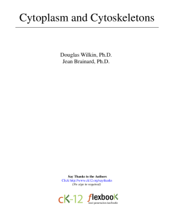 Cytoplasm and Cytoskeletons