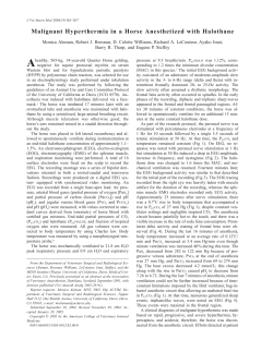 Malignant Hyperthermia in a Horse Anesthetized with Halothane