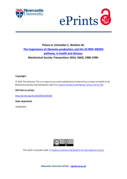 The importance of ribosome production, and the 5S RNP&ndash;MDM2