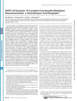 SNAP-25/Syntaxin 1A Complex Functionally Modulates