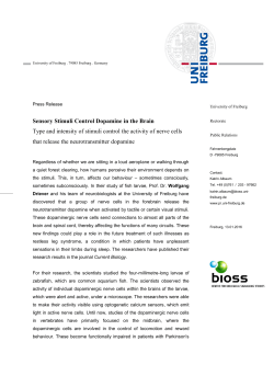 Sensory Stimuli Control Dopamine in the Brain - pr.uni