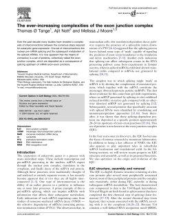 The ever-increasing complexities of the exon junction complex