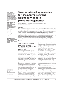 Computational approaches for the analysis of gene neighbourhoods