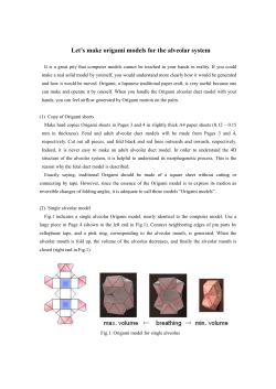 Let`s make origami models for the alveolar system