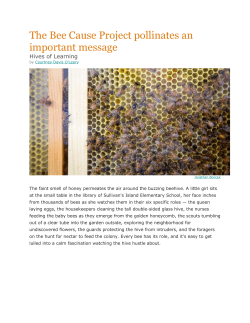 The Bee Cause Project pollinates an important message