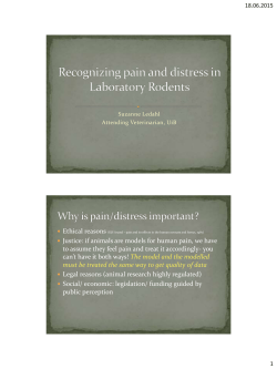 LAS Recognition of Pain and distress