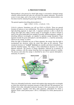 ALGAE AND THE ENVIRONMENT
