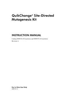 Manual: QuikChange&reg; Site-Directed Mutagenesis Kit