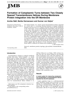 Formation of Cytoplasmic Turns between Two Closely Spaced