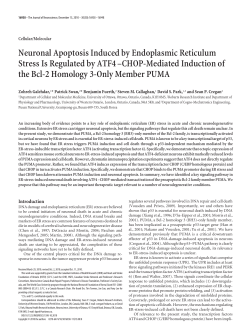 Neuronal Apoptosis Induced by Endoplasmic