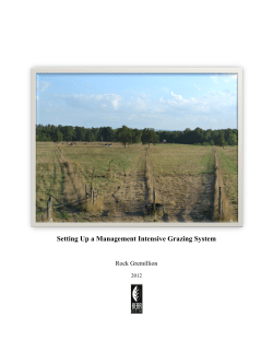 Setting Up a Management Intensive Grazing System