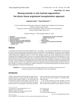 Moving towards in situ tracheal regeneration: the