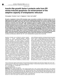 Insulin-like growth factor-I protects cells from ER stress