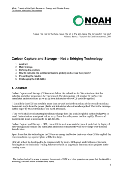 Carbon Capture and Storage &ndash; Not a Bridging Technology