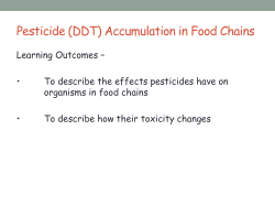 Pesticide Accumulation - DDT