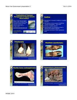 Outline Polydactyly Mulefoot (syndactyly) Marble bone (osteopetrosis)