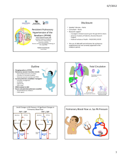 View Presentation Document