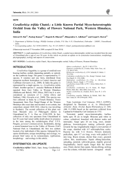 Corallorhiza trifida Chatel.: a Little Known Partial Myco