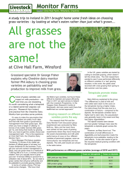 Choosing grass varieties: Diploids v tetraploids