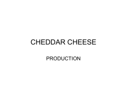 Cheddar Cheese process