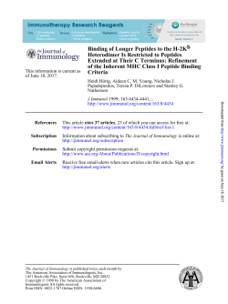 Criteria of the Inherent MHC Class I Peptide Binding Extended at
