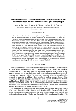 Revascularization of Skeletal Muscle Transplanted into