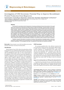 Potential Way to Improve Recombinant Protein Production from