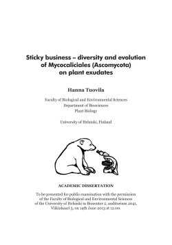 Sticky business &ndash; diversity and evolution of Mycocaliciales