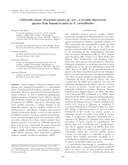 Gibberella musae (Fusarium musae) sp. nov., a recently discovered