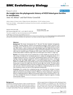 An insight into the phylogenetic history ofHOXlinked gene families in