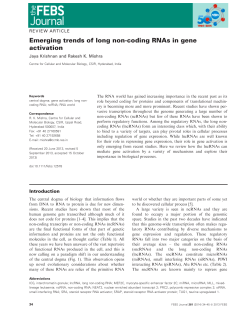 Emerging trends of long noncoding RNAs in gene activation
