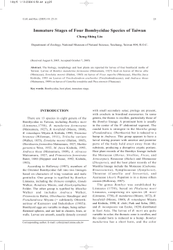 Immature Stages of Four Bombycidae Species of Taiwan