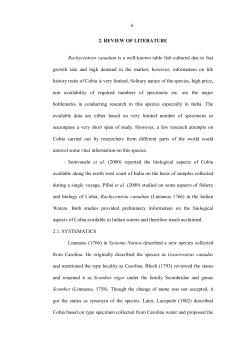 05_chapter 2