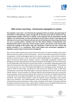 Press Release  - Max-Planck