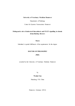 University of Veterinary Medicine Hannover Department of
