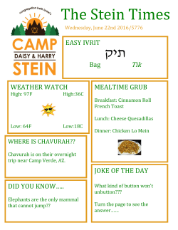 June 22nd - Camp Stein
