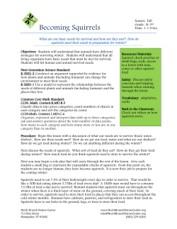 Becoming Squirrels - North Branch Nature Center