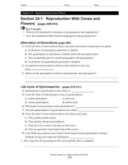 Section 24-1 Reproduction With Cones and Flowers
