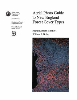 Aerial photo guide to New England forest cover types