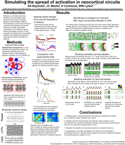 SA Neymotin, JC Wester, D Contreras, WW Lytton LF P s Cells R aster