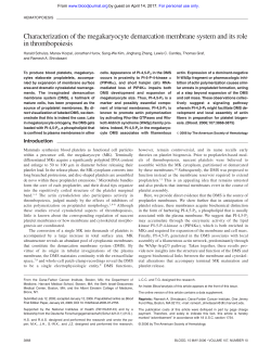 Characterization of the megakaryocyte demarcation membrane