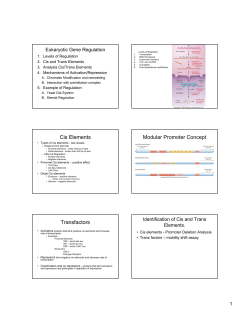 Eukaryotic Gene Regulation